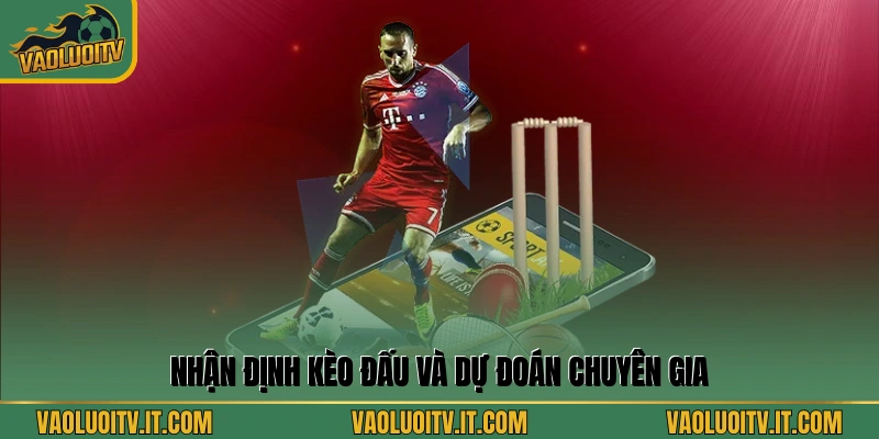 Nhận định kèo đấu và dự đoán chuyên gia